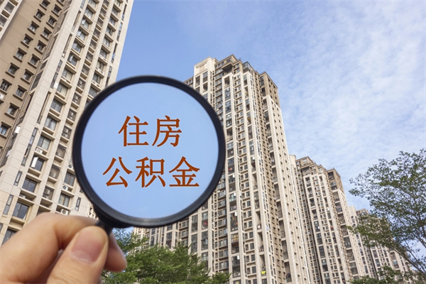 公积金还看征信吗吗_大理公积金代办在职离职封存服务